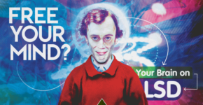 lsd snip